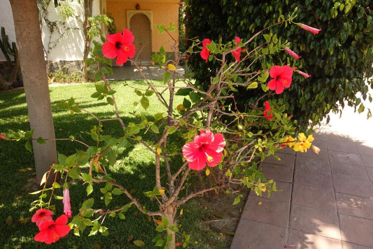 Vera Playa Spain - La Menara Naturist Complex - Eagles Nest - Penthouse Esterno foto